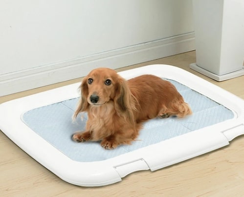 犬トイレトレー
